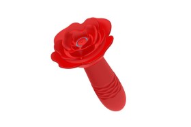 RUŽA ANALNA KUPA- 56 2026-1
